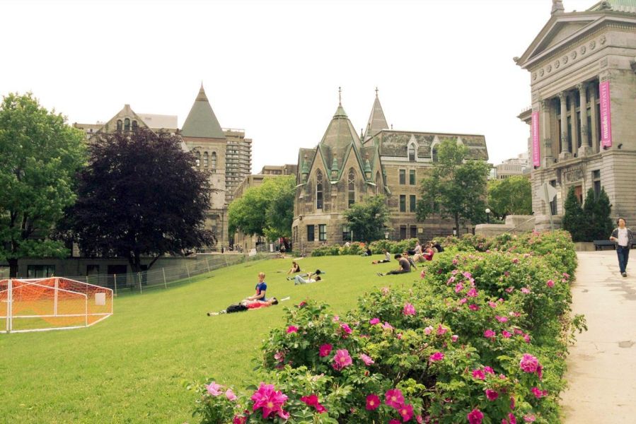 麦吉尔大学