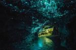 怀托摩萤火虫洞