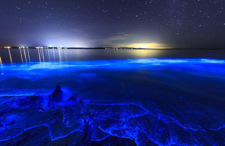 荧光海滩